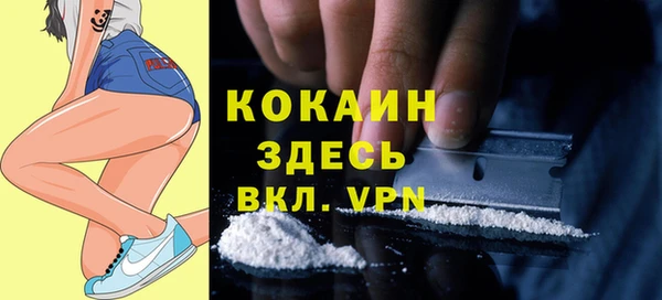 метадон Арсеньев