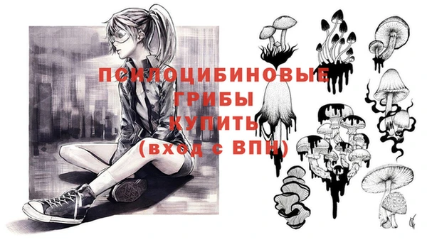 метадон Арсеньев