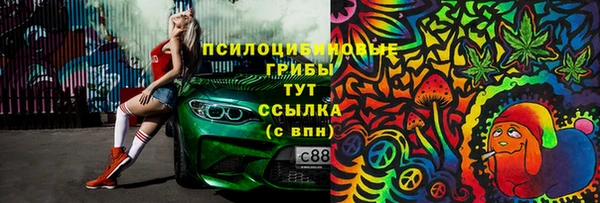 метадон Арсеньев