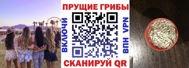Галлюциногенные грибы Psilocybe Оханск
